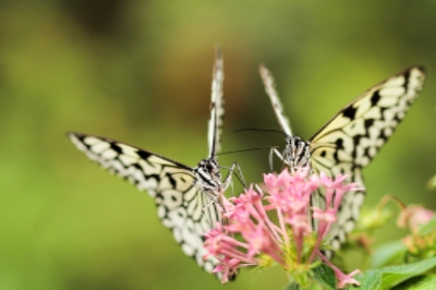 blog post featured image