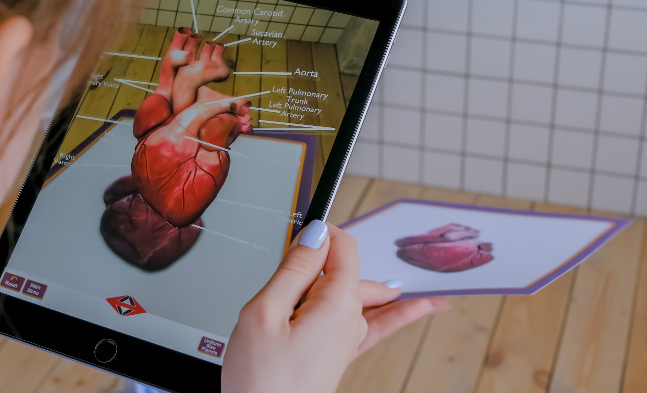 Augmented Reality Anatomical Heart Experience 